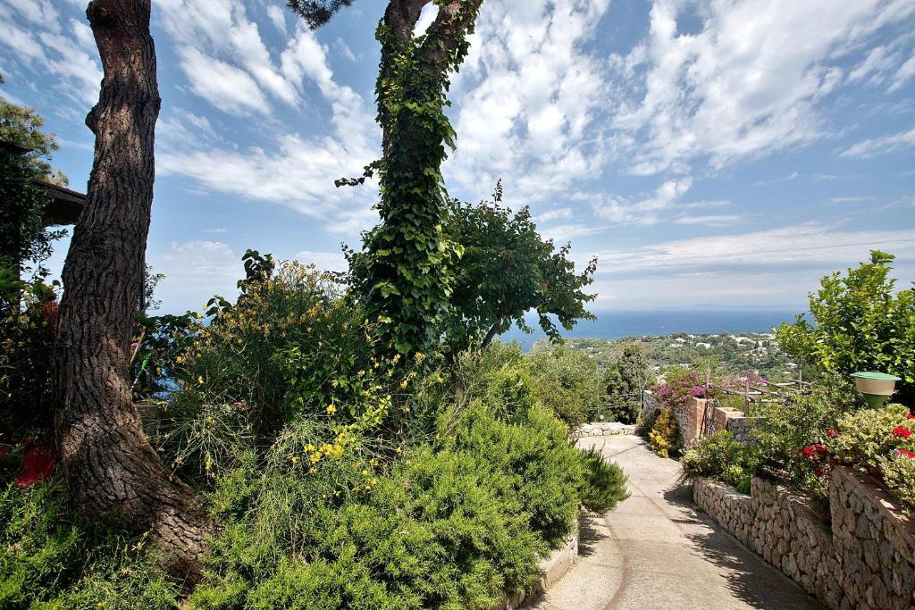 Le Ginestre Di Capri Bb & Holiday House Anacapri  Exterior foto